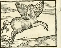 Picture 38 of 317 from Hieroglyphica, sive, De sacris Aegyptiorvm aliarvmqve gentivm literis commentarij (1567), leaf 75