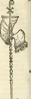 An illustration from Hieroglyphica, sive, De sacris Aegyptiorvm aliarvmqve gentivm literis commentarij (1567)