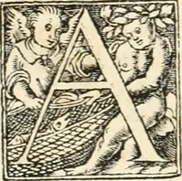 Picture 284 of 317 from Hieroglyphica, sive, De sacris Aegyptiorvm aliarvmqve gentivm literis commentarij (1567), leaf 808