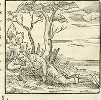 An illustration from Hieroglyphica, sive, De sacris Aegyptiorvm aliarvmqve gentivm literis commentarij (1567)