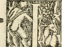 An illustration from Hieroglyphica, sive, De sacris Aegyptiorvm aliarvmqve gentivm literis commentarij (1567)