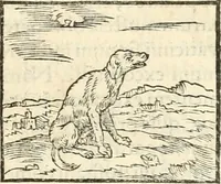 An illustration from Hieroglyphica, sive, De sacris Aegyptiorvm aliarvmqve gentivm literis commentarij (1567)