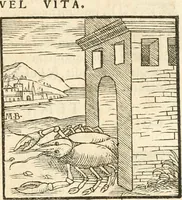 Picture 309 of 317 from Hieroglyphica, sive, De sacris Aegyptiorvm aliarvmqve gentivm literis commentarij (1567), leaf 884