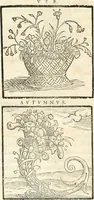 An illustration from Hieroglyphica, sive, De sacris Aegyptiorvm aliarvmqve gentivm literis commentarij (1567)