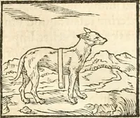 Picture 42 of 317 from Hieroglyphica, sive, De sacris Aegyptiorvm aliarvmqve gentivm literis commentarij (1567), leaf 94