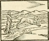 An illustration from Hieroglyphica, sive, De sacris Aegyptiorvm aliarvmqve gentivm literis commentarij (1567)