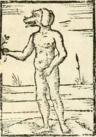 Picture 44 of 317 from Hieroglyphica, sive, De sacris Aegyptiorvm aliarvmqve gentivm literis commentarij (1567), leaf 99