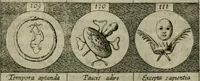 An illustration from Emblemata, sive Symbola : a Principibus, viris Eeclesiasticis, ac Militaribus, alijsque vsurpanda = Deuises, ou, Emblemes : pour Princes, gens d'Eglise, gens de guerre, & aultres (1624)