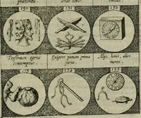 An illustration from Emblemata, sive Symbola : a Principibus, viris Eeclesiasticis, ac Militaribus, alijsque vsurpanda = Deuises, ou, Emblemes : pour Princes, gens d'Eglise, gens de guerre, & aultres (1624)