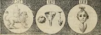 Picture 30 of 42 from Emblemata, sive Symbola : a Principibus, viris Eeclesiasticis, ac Militaribus, alijsque vsurpanda = Deuises, ou, Emblemes : pour Princes, gens d'Eglise, gens de guerre, & aultres (1624), leaf 37