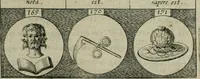 An illustration from Emblemata, sive Symbola : a Principibus, viris Eeclesiasticis, ac Militaribus, alijsque vsurpanda = Deuises, ou, Emblemes : pour Princes, gens d'Eglise, gens de guerre, & aultres (1624)