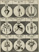 An illustration from Emblemata, sive Symbola : a Principibus, viris Eeclesiasticis, ac Militaribus, alijsque vsurpanda = Deuises, ou, Emblemes : pour Princes, gens d'Eglise, gens de guerre, & aultres (1624)