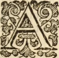 An illustration from Sinnes overthrow : or, A godly and learned treatise of mortification ... All being the substance of severall sermons upon Colos. 3. 5 (1641)