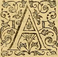 Picture 15 of 46 from The six bookes of a commonweale (1606), leaf 217