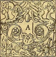 Picture 28 of 46 from The six bookes of a commonweale (1606), leaf 419