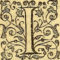 Picture 45 of 46 from The six bookes of a commonweale (1606), leaf 746