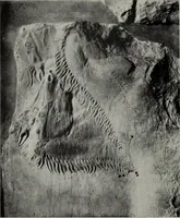 An illustration from Six Greek sculptors (1915)