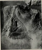 An illustration from Six Greek sculptors (1915)