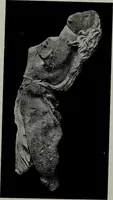 Picture 53 of 80 from Six Greek sculptors (1915), leaf 314