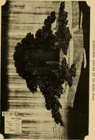 An illustration from Six lectures on architecture (1917)