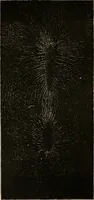 Picture 21 of 52 from Six lectures on light : delivered in America in 1872-1878 (1886), leaf 125