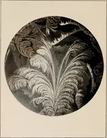 Picture 52 of 52 from Six lectures on light : delivered in America in 1872-1878 (1886), leaf 281