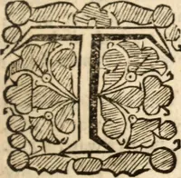 An illustration from Six sermons .. (1651)