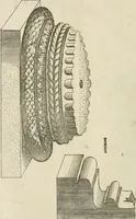 Picture 2 of 112 from [Six suites of engravings] (1549), leaf 11