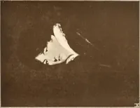 An illustration from Illustrated catalogue of the sixth series of 100 paintings by old masters of the Dutch, Flemish, Italian, French, and English schools : being a portion of the Sedelmeyer Gallery which contains over 1500 original pictures by ancient and modern artists (1900)