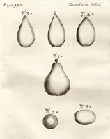 An illustration from The six voyages of John Baptista Tavernier (1678)