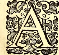 An illustration from The six voyages of John Baptista Tavernier (1678)