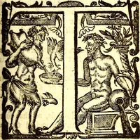An illustration from The six voyages of John Baptista Tavernier (1678)
