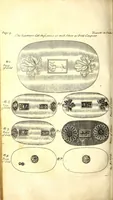 An illustration from The six voyages of John Baptista Tavernier (1678)
