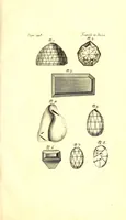 An illustration from The six voyages of John Baptista Tavernier (1678)