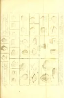 An illustration from The six voyages of John Baptista Tavernier (1678)
