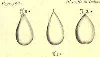 Picture 35 of 46 from The six voyages of John Baptista Tavernier (1678), leaf 472