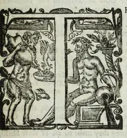 An illustration from The six voyages of John Baptista Tavernier, a noble man of France now living : through Turky into Persia and the East-Indies, finished in the year 1670 : giving an account of the state of those countries : illustrated with divers sculptures : together with a new relation of the present Grand Seignor's seraglio, by the same author (1678)