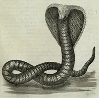 An illustration from The six voyages of John Baptista Tavernier, a noble man of France now living : through Turky into Persia and the East-Indies, finished in the year 1670 : giving an account of the state of those countries : illustrated with divers sculptures : together with a new relation of the present Grand Seignor's seraglio, by the same author (1678)