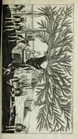 An illustration from The six voyages of John Baptista Tavernier, a noble man of France now living : through Turky into Persia and the East-Indies, finished in the year 1670 : giving an account of the state of those countries : illustrated with divers sculptures : together with a new relation of the present Grand Seignor's seraglio, by the same author (1678)