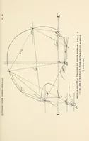 An illustration from Skeletal remains from Santa Barbara, California. : I. Craniology (1925)