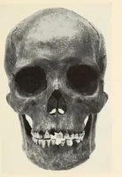 An illustration from Skeletal remains from Santa Barbara, California. : I. Craniology (1925)