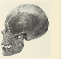 An illustration from Skeletal remains from Santa Barbara, California. : I. Craniology (1925)