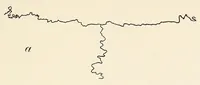 An illustration from Skeletal remains from Santa Barbara, California. : I. Craniology (1925)