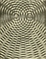 An illustration from Sketch of Prof. John Le Conte ; [and] Sensitive flames and sound-shadows (1889)