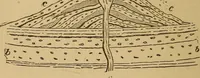Picture 10 of 17 from The skies and the earth (1902), leaf 211