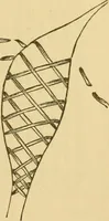 An illustration from Skilful Susy. A book of fairs and bazars (1885)