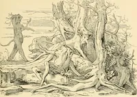 An illustration from Skämtbilden och dess historia i konsten (1910)