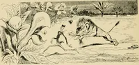 An illustration from Skämtbilden och dess historia i konsten (1910)