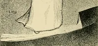 An illustration from Skämtbilden och dess historia i konsten (1910)