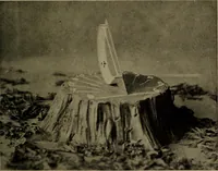 Picture 78 of 140 from The sky movies (1922), leaf 118